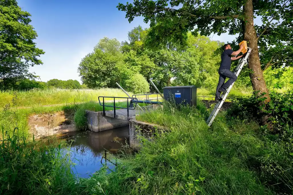 ecoloog waterschap rijn en ijssel